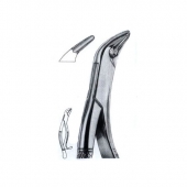 Extracting Forceps American Pattern